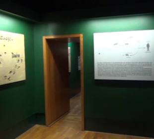 Jagdtier + Vogelkunde