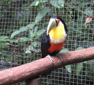 Exotische Fauna und Flora zum anfassen