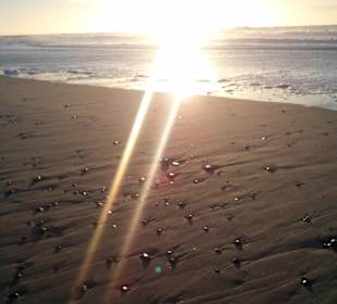 Die Sonne geht unter