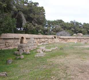 Arena