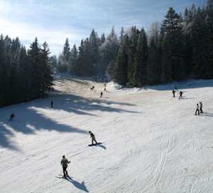 Bild eines Skigebietes in der Nähe von Lemberg.