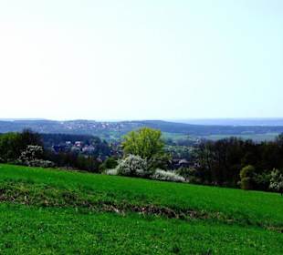 Ganz am Anfang