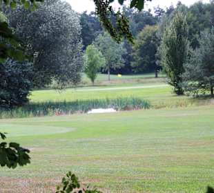 Waldumsäumte Fairways