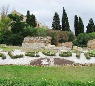 Blumenbeet am Rand der Ausgrabung