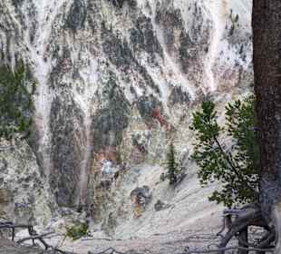 Artist Point-Grand Canyon of the Yellowstone River
