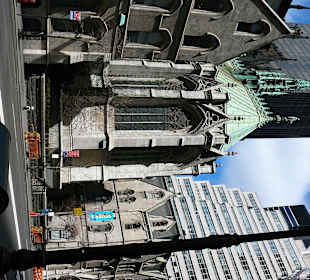    St. Patrick's Cathedral