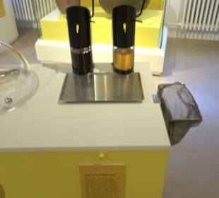 Museum für Naturkunde