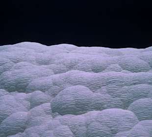 Baseny wapienne pamukkale