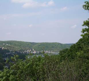 Blick auf den Rhein