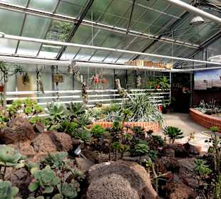 Das Sukkulentenhaus im Botanischen Garten