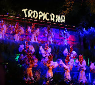 Show Tropicana