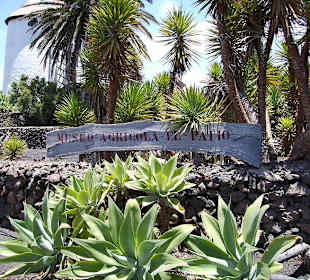 Museo Agricola el Patio