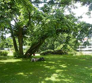 Parkanlage Planten un Blomen