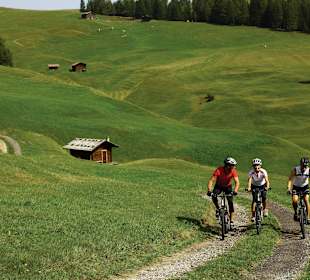 Mountainbiken auf Höhenweg