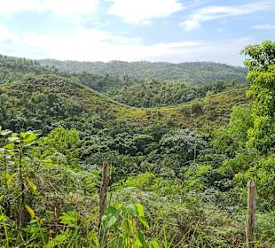 Wasserfall Saltos de Limon
