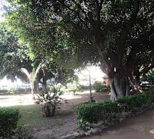 Park Giardino Garibaldi