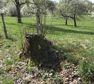 Wanderweg Hochgehkämpft