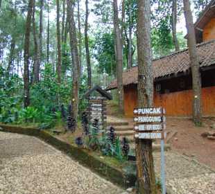 Puncak Becici
