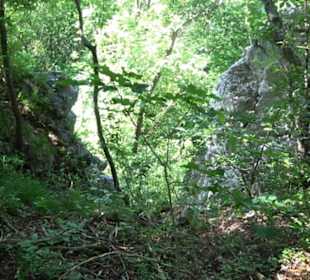 Premiumwanderweg "hochgelegen"