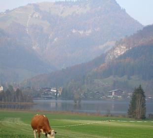 Walchsee im Oktober 2007