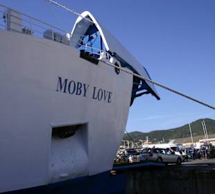 Moby Love