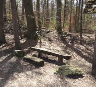 Waldsportpfad im Wasenwald