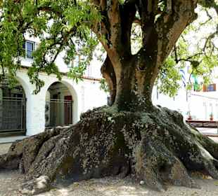 Colonia del Sacramento