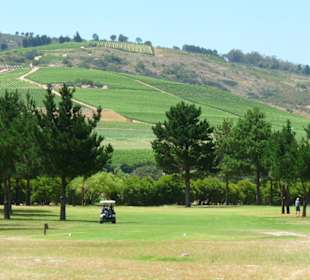 Blick in die Weinberge