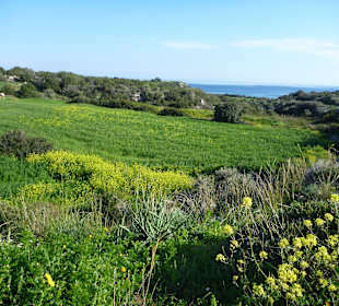Halbinsel Karpaz