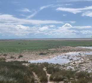 Etosha