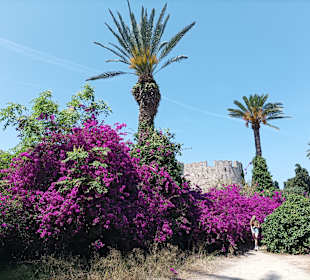 Hafen Rhodos