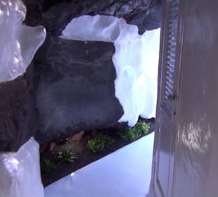 Fundacion Cesar Manrique