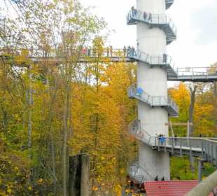 Baumkronenpfad