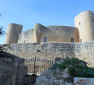 Castell Belvedere