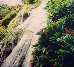 Hidden-Falls/Jamaika