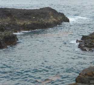 An der Küste bei der Playa del Confital