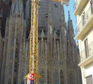 Ja, gearbeitet wird zw. 30-80 Jahre noch