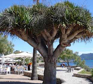 Auf dem Weg zum Hafen von Cala Bona