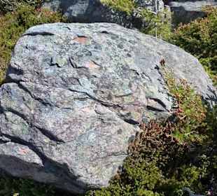 Jeder Felsen ein Unikum