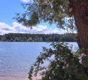 Igelsbachsee