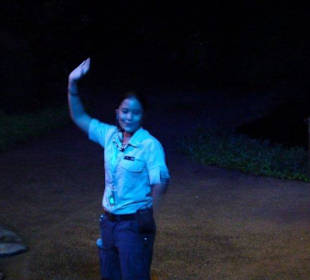 Night Safari - Tiershow