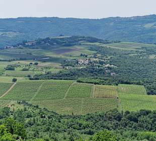 Wandern Motovun