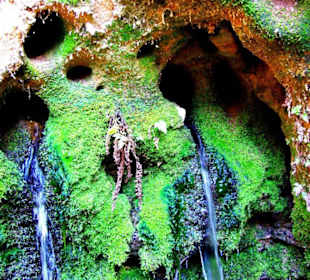 Wanderung zum Wasserfall