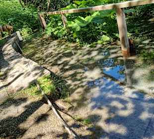 Wandern Ramsau am Dachstein