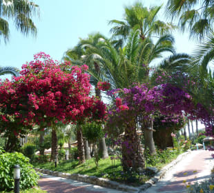 Gartenanlage