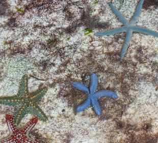 Sport & Freizeit