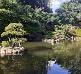 Japanischer Garten in Kaiserslautern