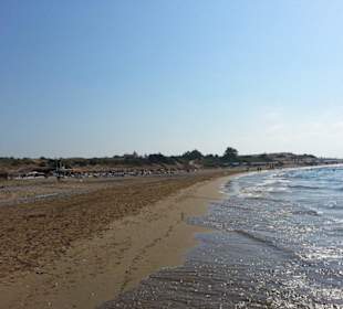 Strand 2