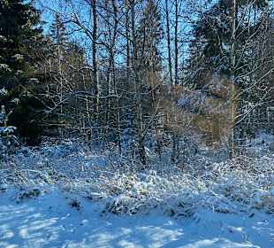 Wandern Allrode