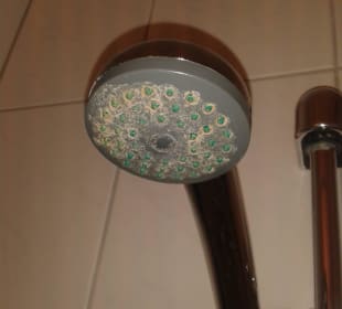 Duschkopf, kommt kaum noch Wasser. Warum nur? Central-Hotel Eberswalde